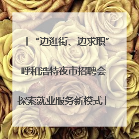 “边逛街、边求职” 呼和浩特夜市招聘会探索就业服务新模式