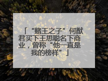 “赌王之子”何猷君买下王思聪名下商业，曾称“他一直是我的榜样”