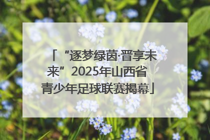 “逐梦绿茵·晋享未来”2025年山西省青少年足球联赛揭幕
