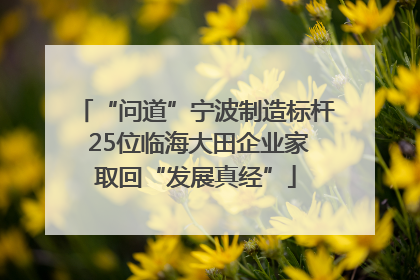 “问道”宁波制造标杆 25位临海大田企业家取回“发展真经”