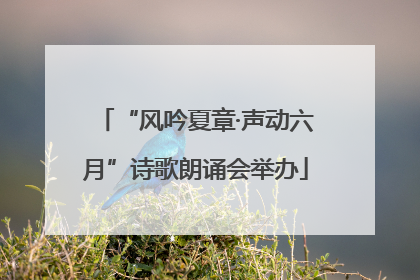 “风吟夏章·声动六月”诗歌朗诵会举办