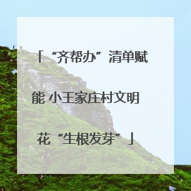 “齐帮办”清单赋能 小王家庄村文明花“生根发芽”
