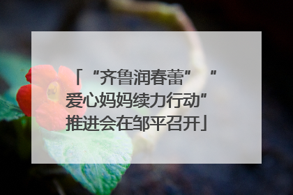 “齐鲁润春蕾”“爱心妈妈续力行动”推进会在邹平召开