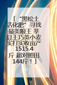 “黑松土 活化肥”寻找最美粮王 莘县王巧英小麦实打实收亩产1515.4斤 超对照田144斤！