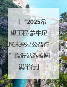 “2025希望工程·蒙牛足球未来星公益行”临沂站选拔圆满举行