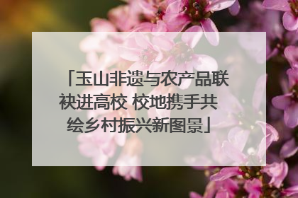玉山非遗与农产品联袂进高校 校地携手共绘乡村振兴新图景