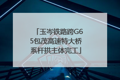 玉岑铁路跨G65包茂高速特大桥系杆拱主体完工