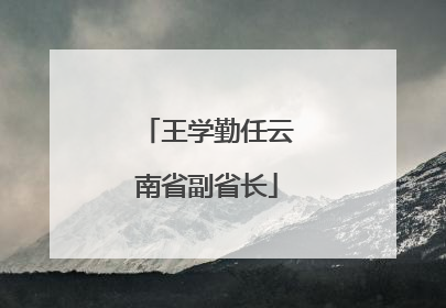 王学勤任云南省副省长