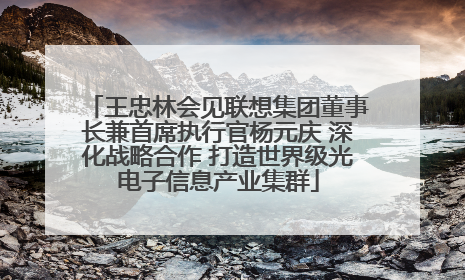王忠林会见联想集团董事长兼首席执行官杨元庆 深化战略合作 打造世界级光电子信息产业集群