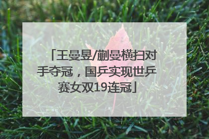 王曼昱/蒯曼横扫对手夺冠，国乒实现世乒赛女双19连冠