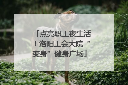 点亮职工夜生活！洛阳工会大院“变身”健身广场