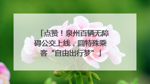 点赞！泉州百辆无障碍公交上线，圆特殊乘客“自由出行梦”