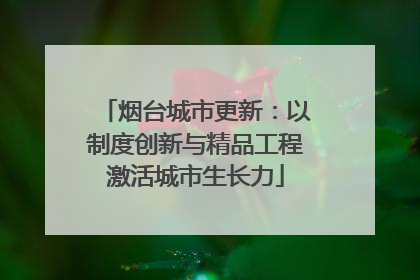 烟台城市更新：以制度创新与精品工程激活城市生长力