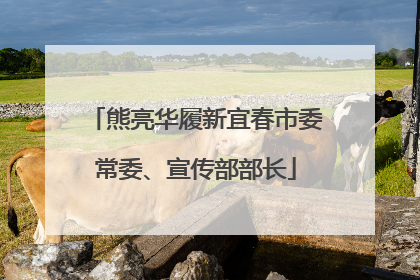 熊亮华履新宜春市委常委、宣传部部长