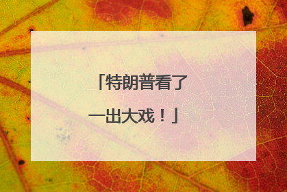 特朗普看了一出大戏！