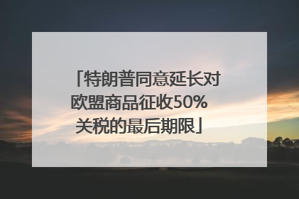 特朗普同意延长对欧盟商品征收50%关税的最后期限