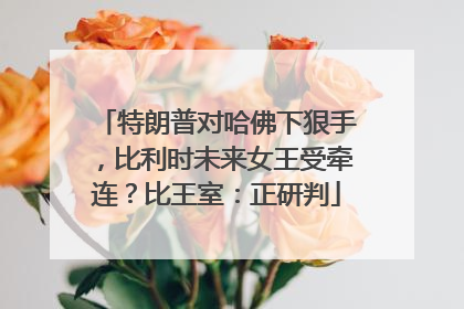 特朗普对哈佛下狠手，比利时未来女王受牵连？比王室：正研判