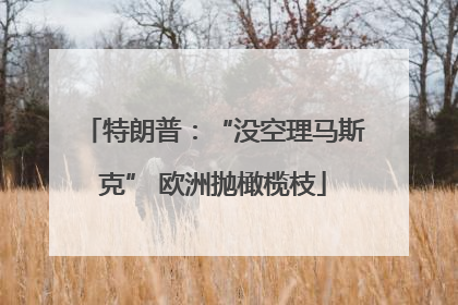 特朗普：“没空理马斯克” 欧洲抛橄榄枝