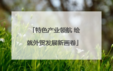 特色产业领航 绘就外贸发展新画卷