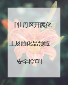 牡丹区开展化工及危化品领域安全检查
