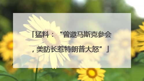 猛料：“曾邀马斯克参会，美防长惹特朗普大怒”