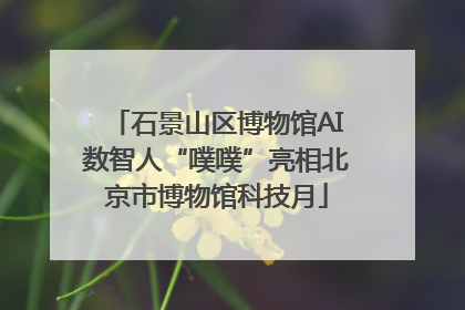 石景山区博物馆AI数智人“噗噗”亮相北京市博物馆科技月