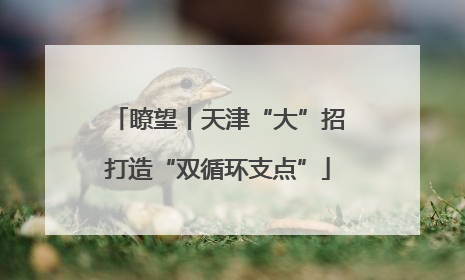 瞭望丨天津“大”招打造“双循环支点”