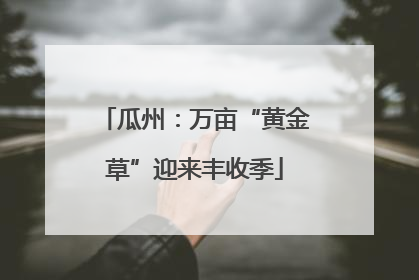 瓜州：万亩“黄金草”迎来丰收季
