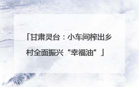 甘肃灵台：小车间榨出乡村全面振兴“幸福油”