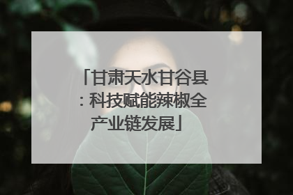 甘肃天水甘谷县：科技赋能辣椒全产业链发展