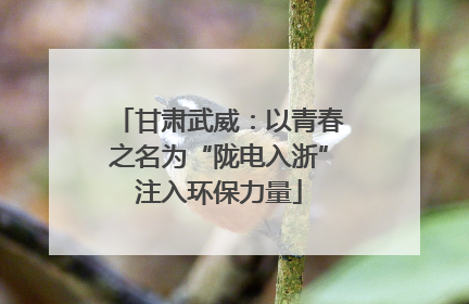 甘肃武威：以青春之名为“陇电入浙”注入环保力量