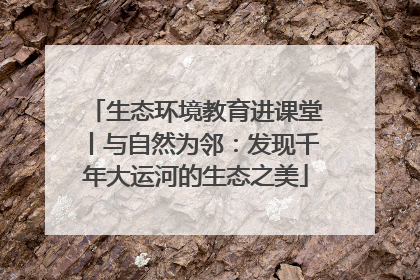 生态环境教育进课堂丨与自然为邻：发现千年大运河的生态之美
