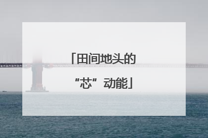 田间地头的“芯”动能