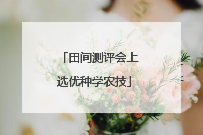 田间测评会上选优种学农技