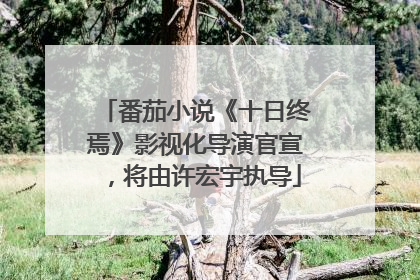 番茄小说《十日终焉》影视化导演官宣，将由许宏宇执导