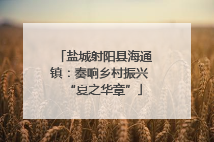 盐城射阳县海通镇：奏响乡村振兴“夏之华章”
