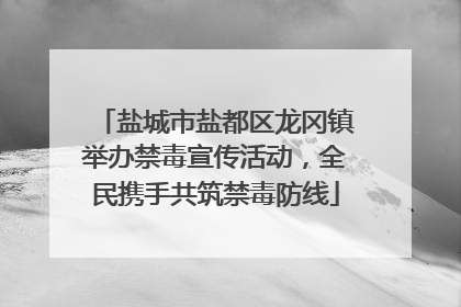 盐城市盐都区龙冈镇举办禁毒宣传活动，全民携手共筑禁毒防线