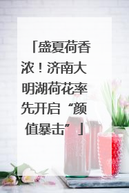 盛夏荷香浓！济南大明湖荷花率先开启“颜值暴击”