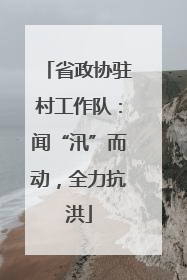 省政协驻村工作队：闻“汛”而动，全力抗洪