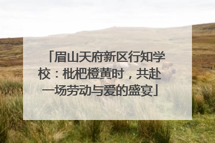 眉山天府新区行知学校：枇杷橙黄时，共赴一场劳动与爱的盛宴