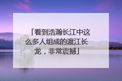 看到浩瀚长江中这么多人组成的渡江长龙，非常震撼