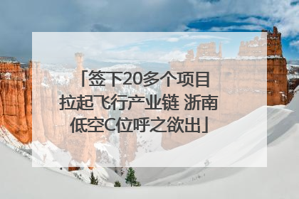 签下20多个项目 拉起飞行产业链 浙南低空C位呼之欲出