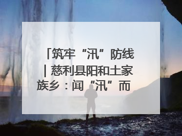 筑牢“汛”防线｜慈利县阳和土家族乡：闻“汛”而动 全员下沉筑牢防汛“安全堤”