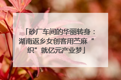 砂厂车间的华丽转身：湖南返乡女创客用苎麻“织”就亿元产业梦