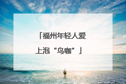 福州年轻人爱上泡“鸟咖”