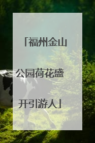 福州金山公园荷花盛开引游人