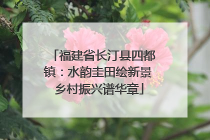 福建省长汀县四都镇：水韵圭田绘新景 乡村振兴谱华章