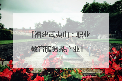 福建武夷山：职业教育服务茶产业