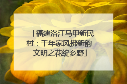 福建洛江马甲新民村：千年家风拂新韵 文明之花绽乡野