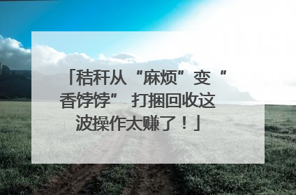 秸秆从“麻烦”变“香饽饽” 打捆回收这波操作太赚了！